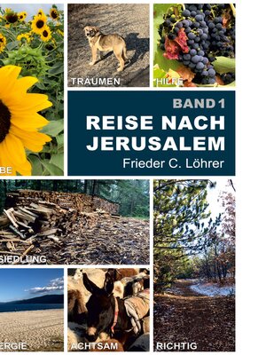 cover image of Reise nach Jerusalem